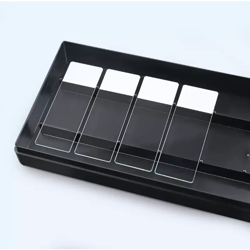 Scatola umidificatrice per vet - Lab Incubator recensione e prezzo
