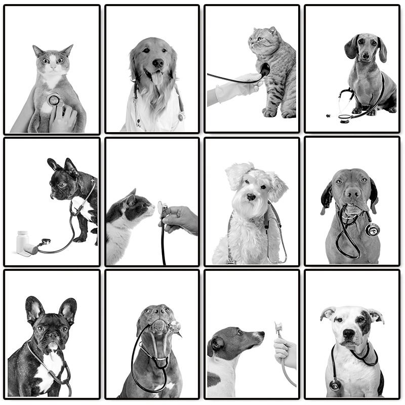 Poster Veterinario con Cani e  - Stethoscope recensione e prezzo
